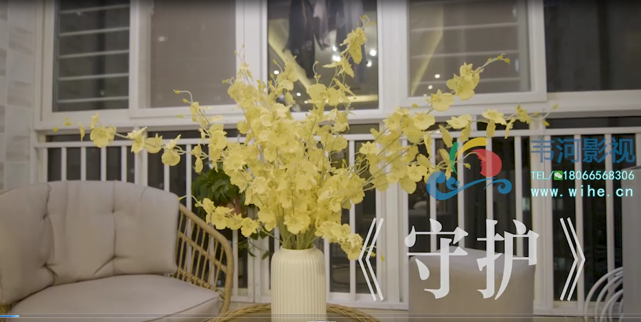 網(wǎng)上國網(wǎng)實(shí)景故事片